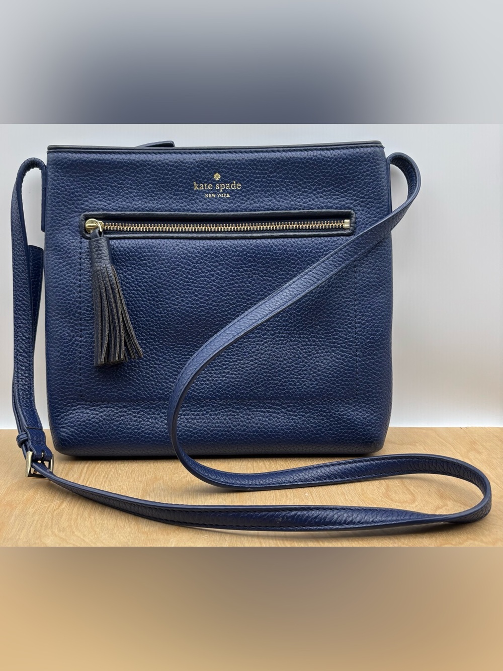 Kate Spade Women’s Chester Street Dessi Crossbody Blue Handbag Tassel 10” x 9”